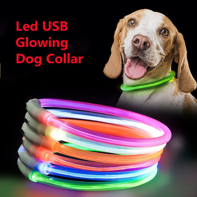 USB Rechargeable Pet Lighting Collar