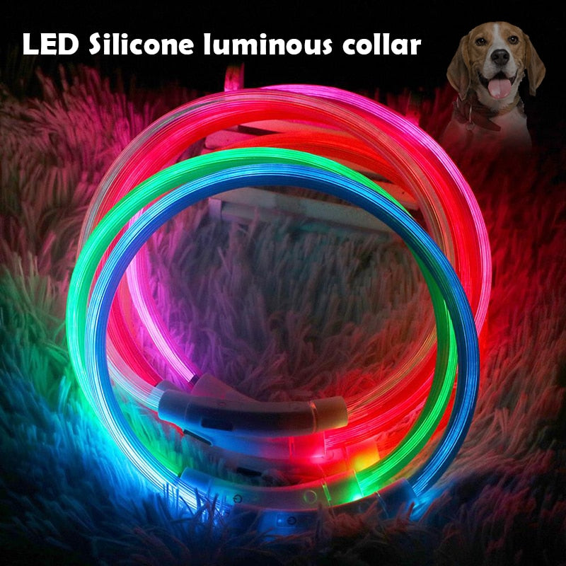 USB Rechargeable Pet Lighting Collar