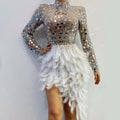 Sparkly Silver Sequins Feather Dress Women Birthday Wedding Latin Dresses